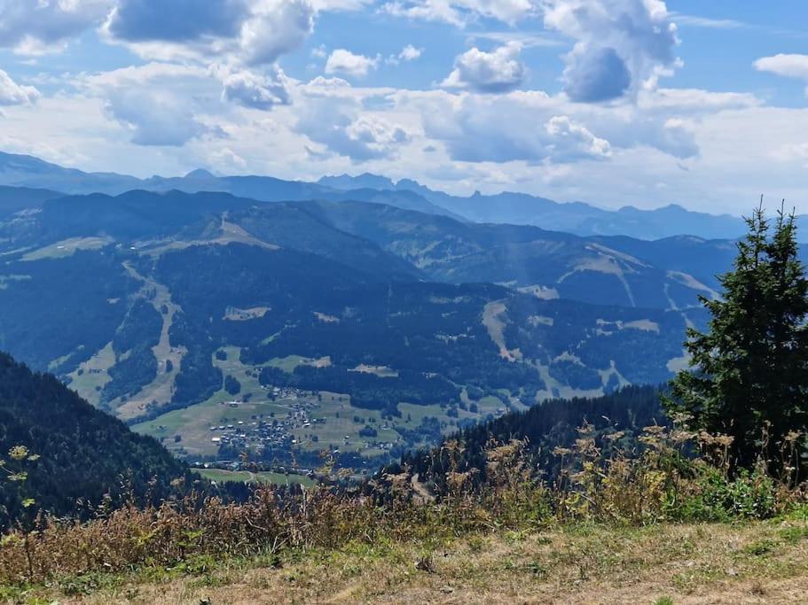 Appartement La Duchere Le Plan-La Giettaz Massif Des Aravis Exteriör bild