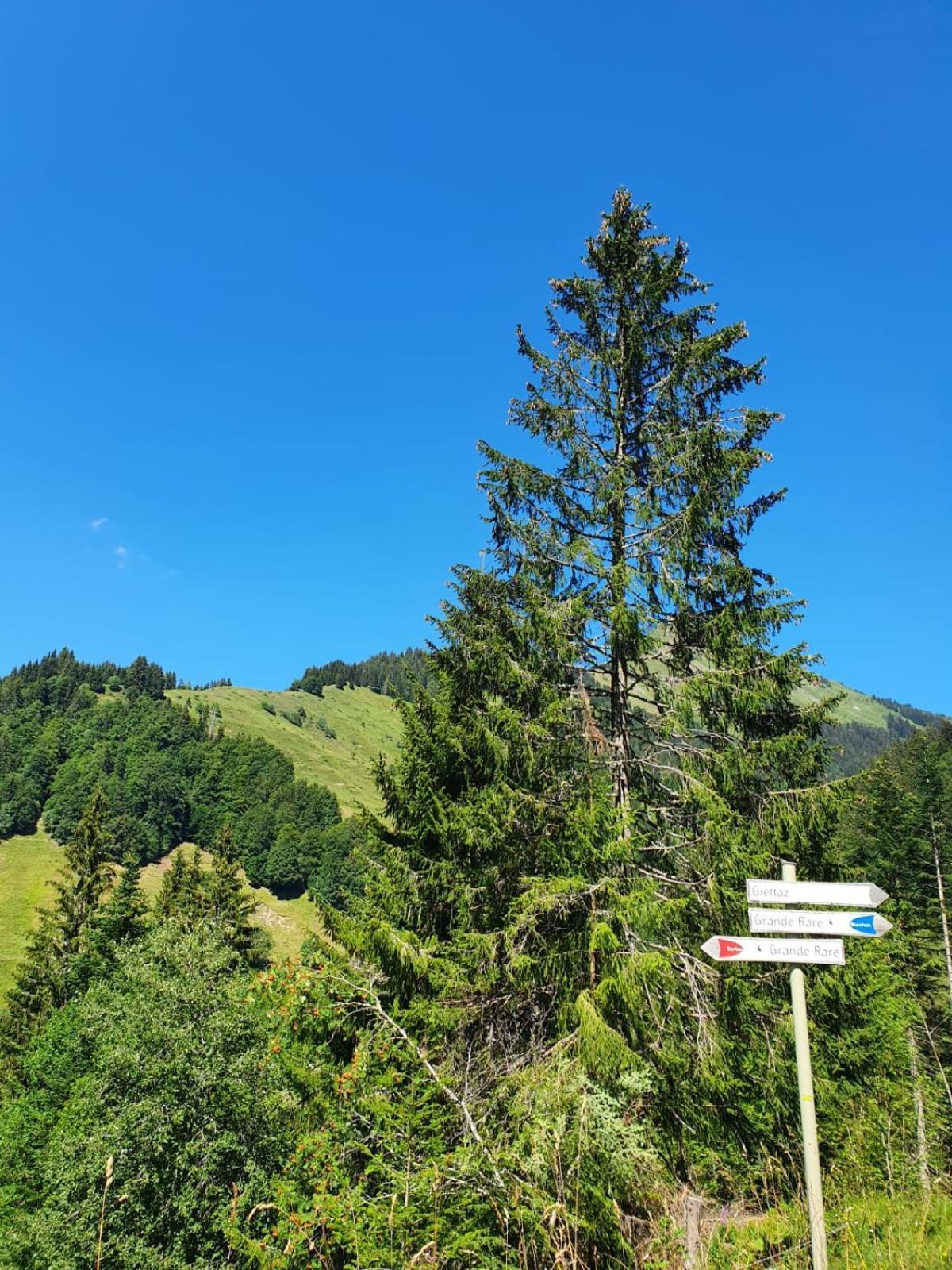 Appartement La Duchere Le Plan-La Giettaz Massif Des Aravis Exteriör bild