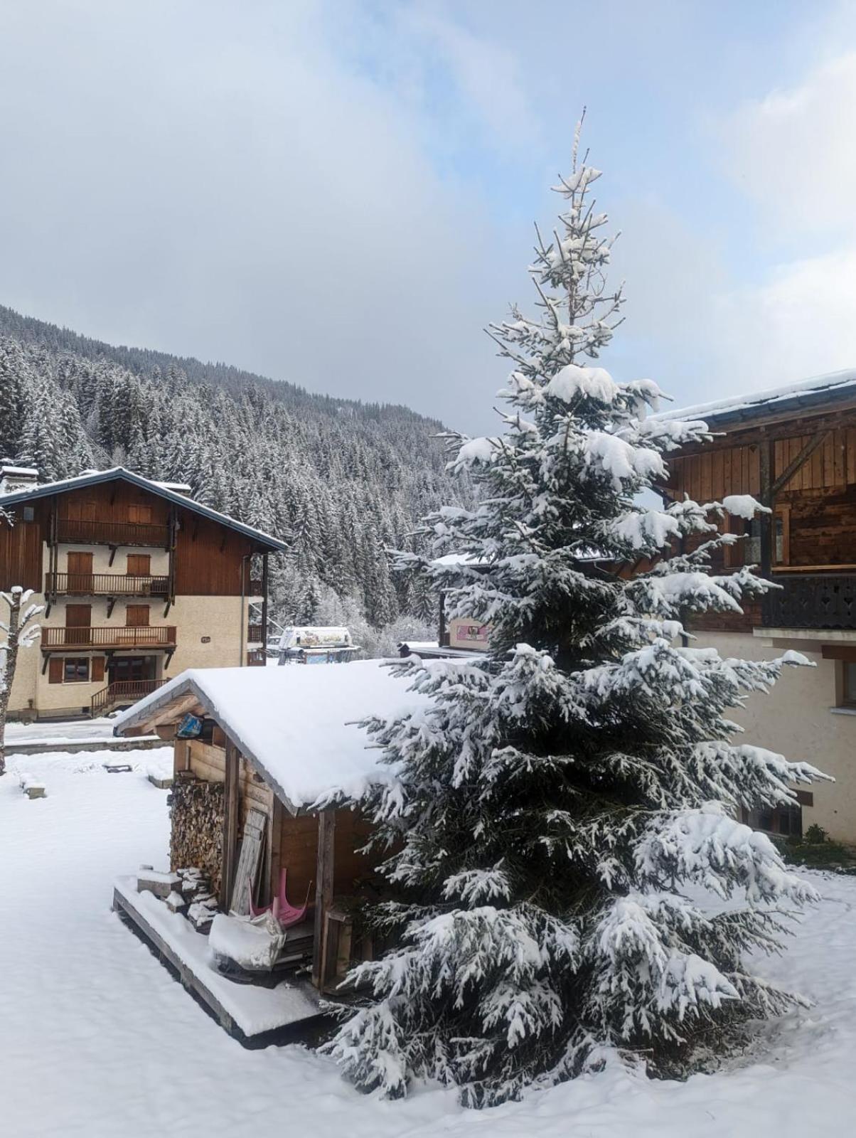 Appartement La Duchere Le Plan-La Giettaz Massif Des Aravis Exteriör bild